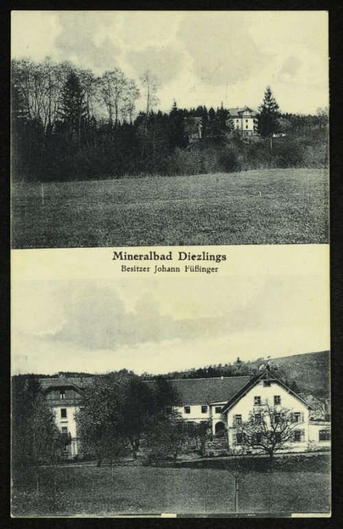 Mineralbad Diezlings, Besitzer Johann Füßinger