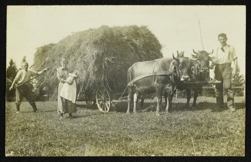Anton und Aloisia Leite mit einem Knecht und einem Heufuhrwerk in Möggers, Parzelle Kapf