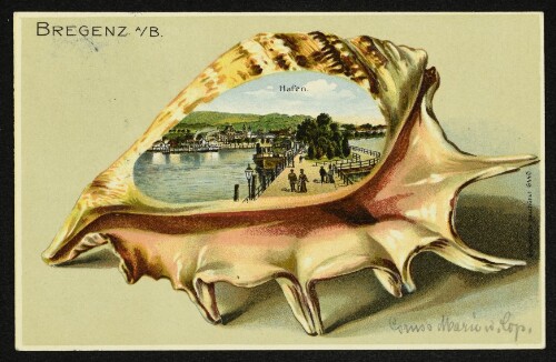 Bregenz a/B. : Hafen