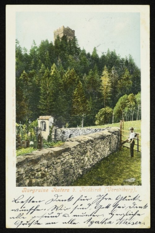 Burgruine Tosters b. Feldkirch (Vorarlberg)