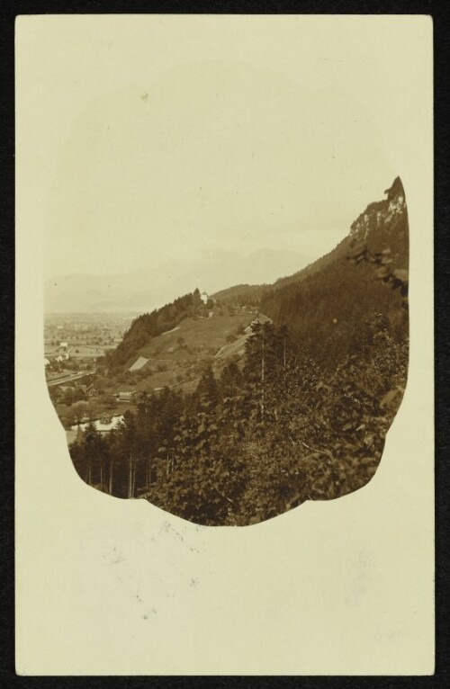 Blick auf den Tilliswald mit Schloss Amberg