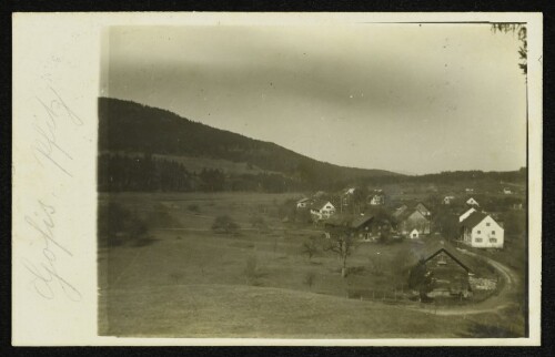 Göfis, Ortsteil Pfitz