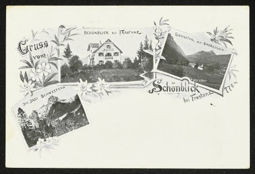 Gruss vom Schönblick bei Frastanz 775 m : Die Drei Schwestern : Schönblick bei Frastanz : Saminthal mit Amerlügen