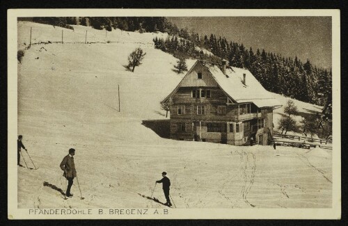 Pfänderdohle b. Bregenz a. B.