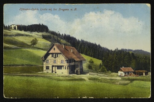 Pfänder-Dohle (1060 m) bei Bregenz a. B.