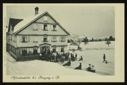 Pfänderdohle bei Bregenz a. B.