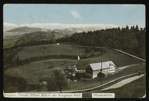 Bregenz. Pfänder, 1060 m. Blick in den Bregenzer Wald. Pfänder-Dohle.