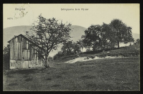 Bregenz - Gebirgspartie beim Pfänder