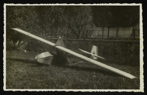 Segelflugzeug auf einer Wiese