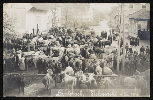 Lauterach, Viehmarkt 4. XII. 1916