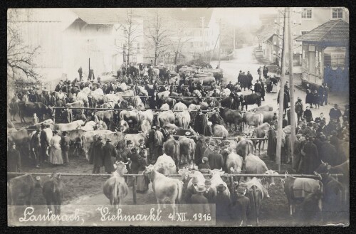 Lauterach, Viehmarkt 4.XII.1916
