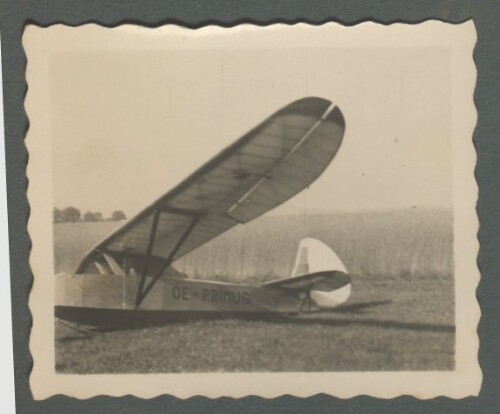 Segelflugzeug OE-PRIMUS
