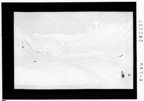 Auenfeld - Widderstein