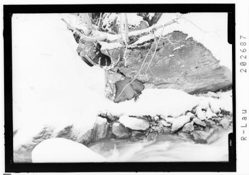 [Liegender Hirschbock]