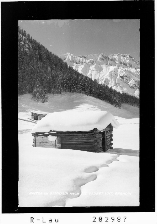 Winter im Samnaun 1850 m / Piz Vadret / Unterengadin