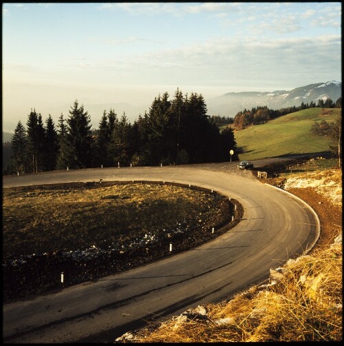 Baumwaldkehren in Übersaxen