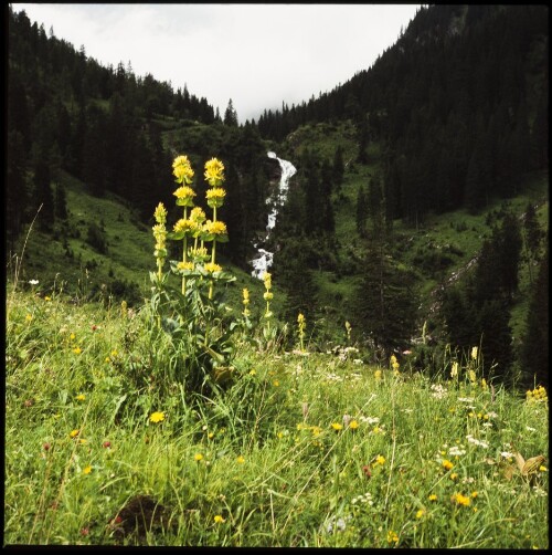 Stuiba - Wasserfall