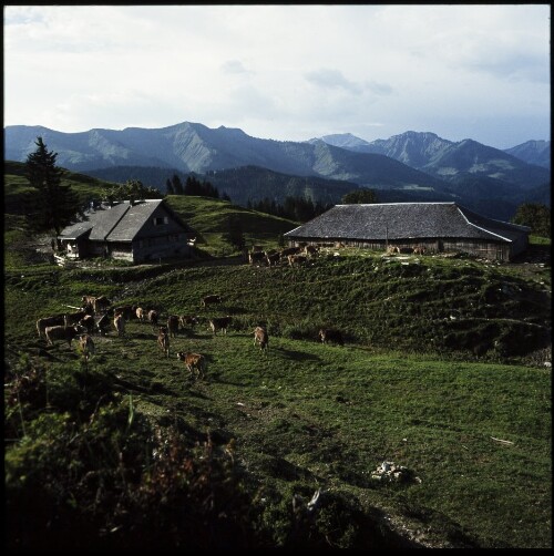 Dornbirn - Alpe Gschwend
