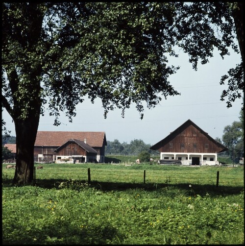 Rheinhof - Hohenems