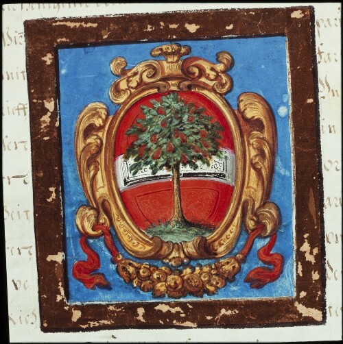 Dornbirn - Stadtwappen (Urkunde)