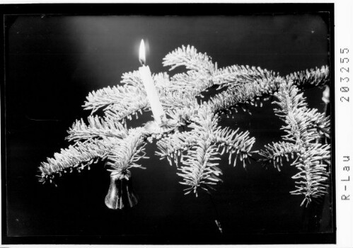 [Tannenzweig mit Kerze]