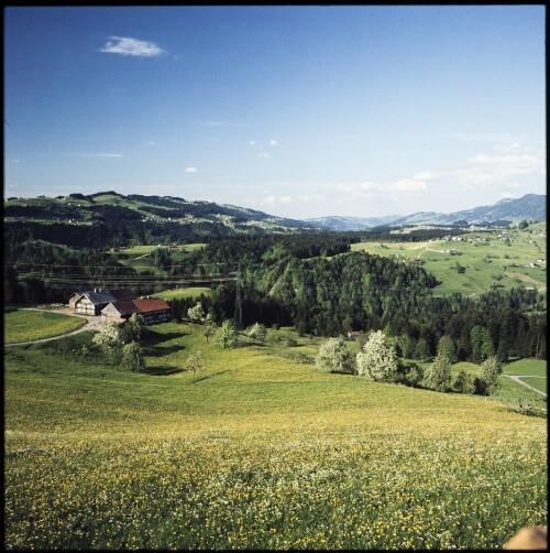 Bregenzerwald bei Müselbach