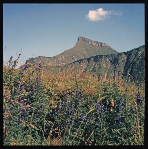 Rothorn - Bregenzerwald