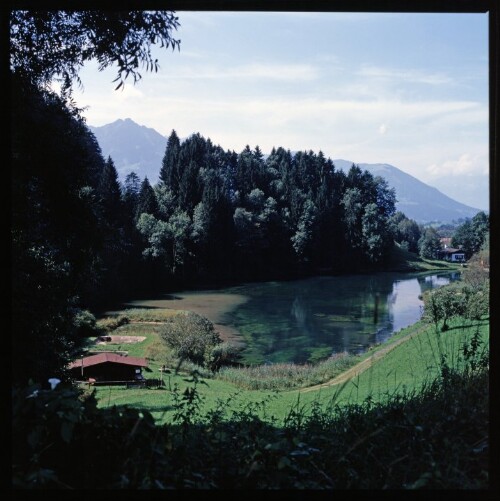 Fischweiher in Bad - Schnifis