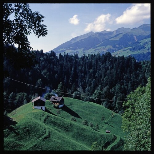 Gross Walsertal - Besiedelung