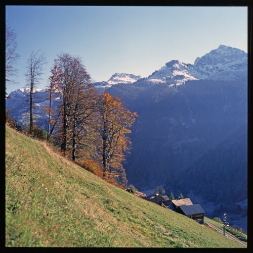 Gross Walsertal - Herbstmotive