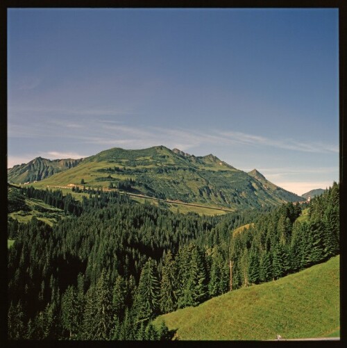 Faschinastrasse - Galerie