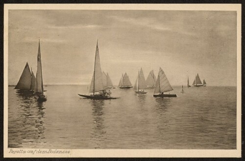 Regatta auf dem Bodensee : [Künstler-Karte Segel-Regatta ...]