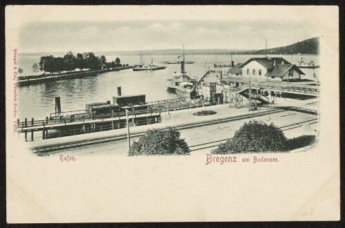 Bregenz am Bodensee : Hafen : [Postkarte ...]