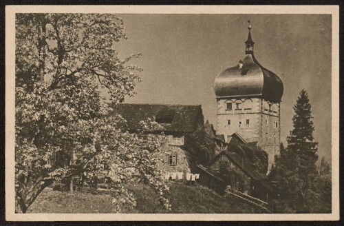 [Bregenz] : [Alt-Bregenz ...]