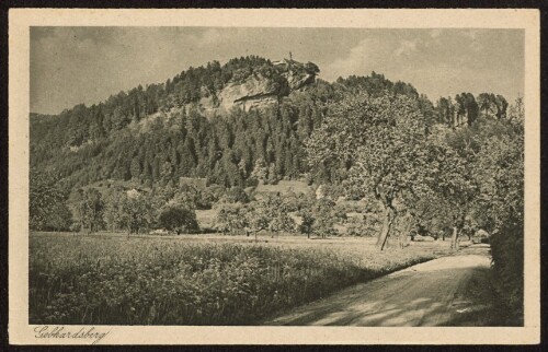 Gebhardsberg : [Gebhardsberg bei Bregenz ...]