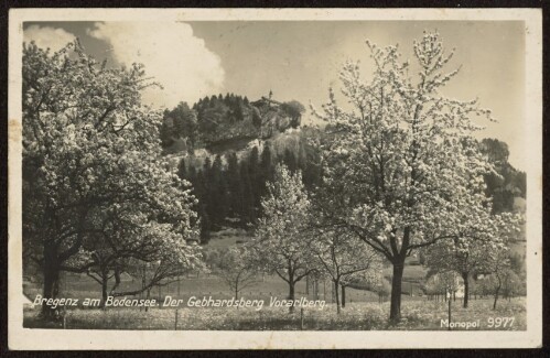 Bregenz am Bodensee : Der Gebhardsberg (Vorarlberg)