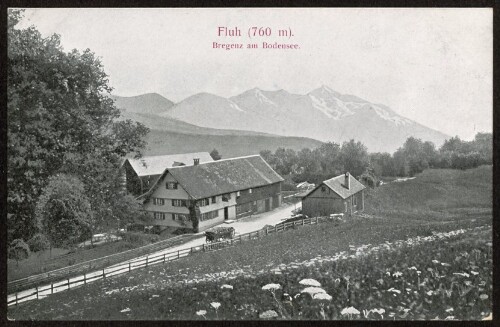 Fluh (760 m) : Bregenz am Bodensee : [Postkarte ...]