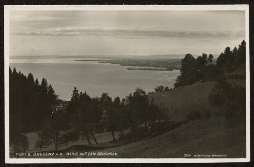 Fluh b. Bregenz a. B. Blick auf den Bodensee