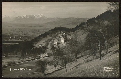 [Bregenz] Fluh Säntis