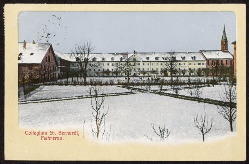 Collegium St. Bernardi, Mehrerau : [Herzlichen Glückwunsch zum neuen Jahr! ...]