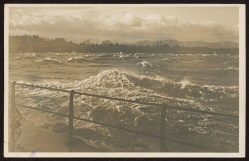 [Brandung am Bodensee]