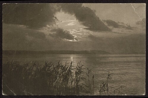 [Am Bodensee] : [Sonnenuntergang ...]