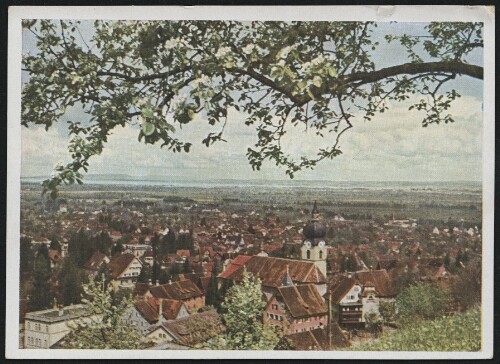 [Dornbirn] : [Aus Vorarlberg Dornbirn, Blick vom Zanzenberg auf die Stadt und Bodensee ...]