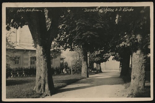 Dornbirn. Allee b. d. Kirche
