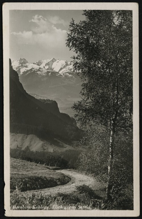 Dornbirn-Kehlegg. Blick gegen Säntis : [Dornbirn (Kehlegg) Blick gegen Säntis ...]