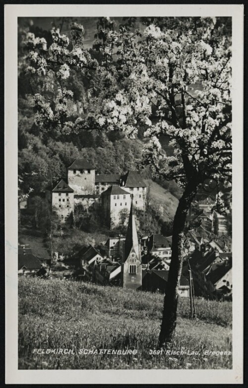 Feldkirch, Schattenburg