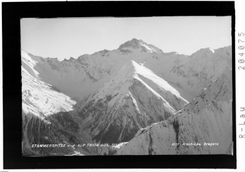 Stammerspitze von der Alp Trida aus