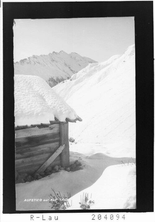 Aufstieg zur Alp Trida : [Untere Alp Bella gegen Piz Motnair]