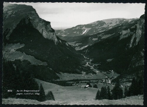 Au im Bregenzerwald gegen Kanisfluh, Vlbg.