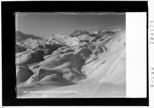 Alp Trida-Ecke mit Blick in die Silvretta : [Alptrider Eck gegen Fluchthörner]